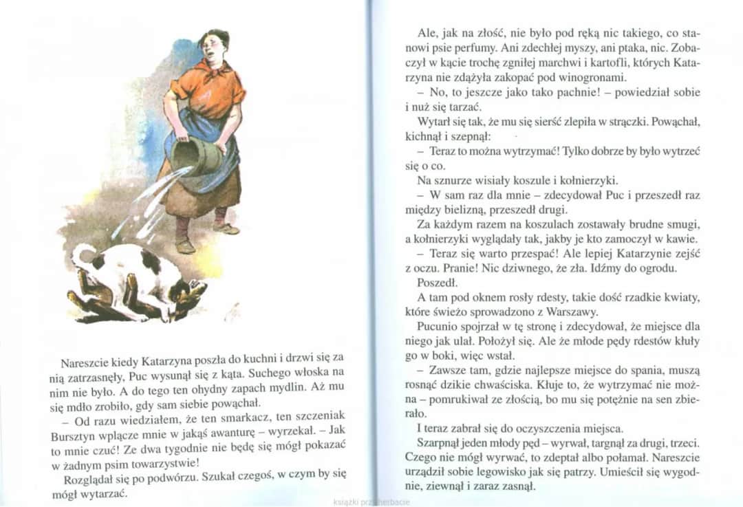 Kim jest autor książki Puc, Bursztyn i goście i co go wyróżnia?