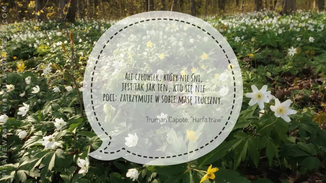 Kto napisał "Harfę traw"? Truman Capote geniusz i skandalista.