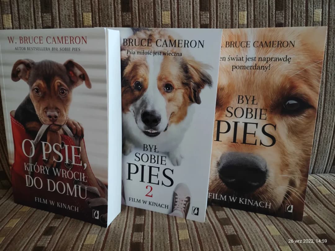 Kim jest autor książki Był sobie pies - poznaj W. Bruce'a Camerona