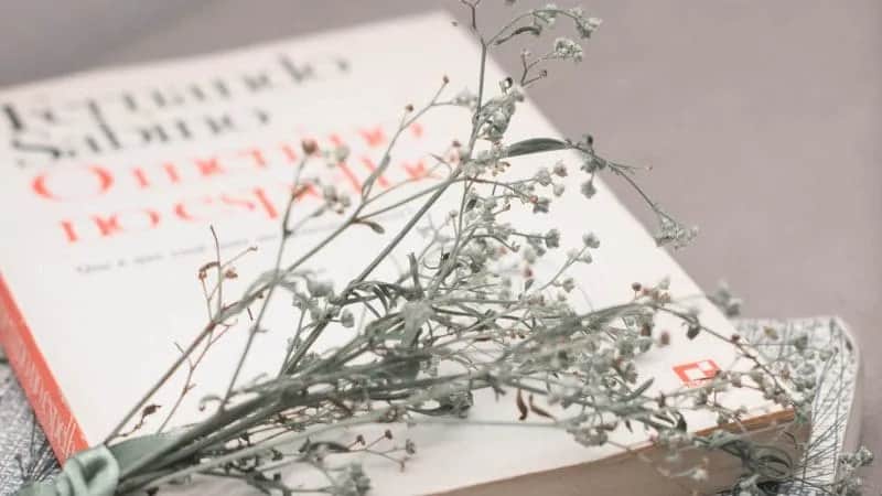 Najlepsze książki o miłości polskich autorów - od klasyków do współczesności