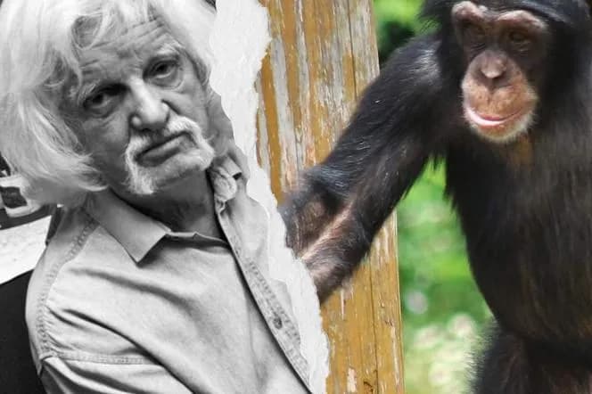 Szympans z komiksu Tytus de Zoo – historia przygód, które bawią i uczą